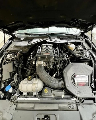 Ford Mustang cena 265000 przebieg: 10000, rok produkcji 2020 z Opole małe 154